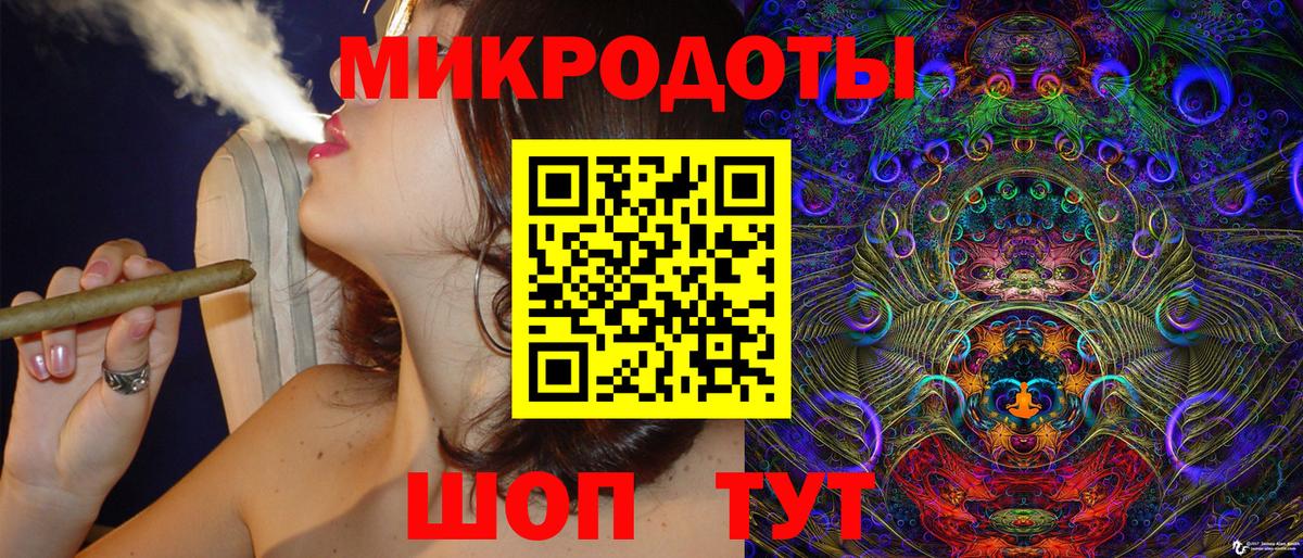 Псилоцибиновые грибы Cubensis Хасавюрт