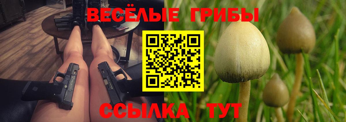 Хасавюрт  Псилоцибиновые грибы мухоморы  Галлюциногенные грибы ЛСД  Вход с VPN 